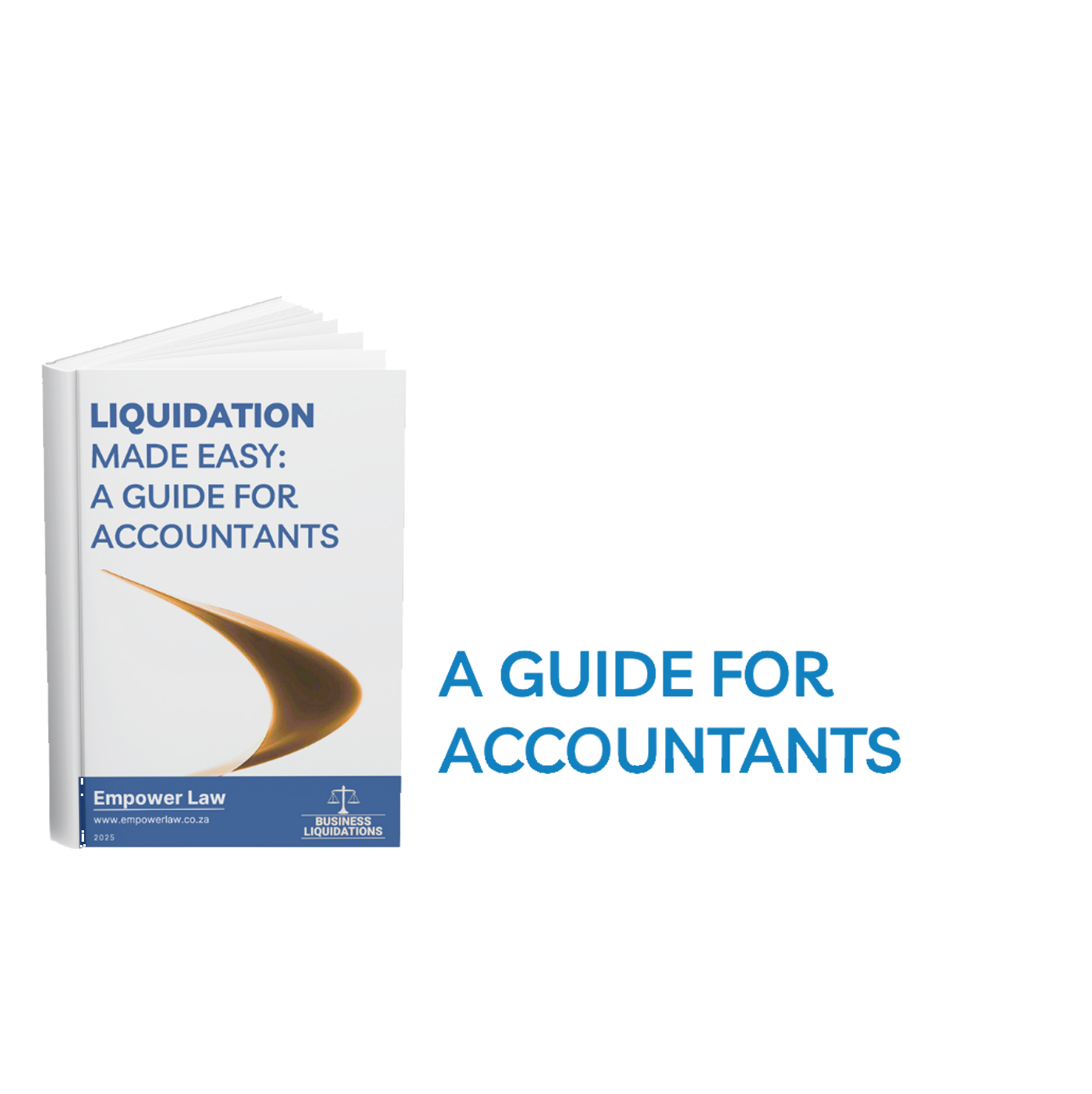 Book Promo - Liquidation Made Easy A Guide for Accountants Mockup Transparent